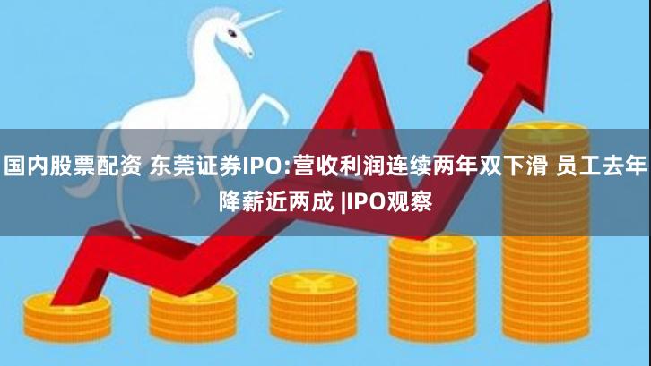 国内股票配资 东莞证券IPO:营收利润连续两年双下滑 员工去年降薪近两成 |IPO观察