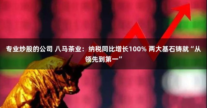 专业炒股的公司 八马茶业：纳税同比增长100% 两大基石铸就“从领先到第一”