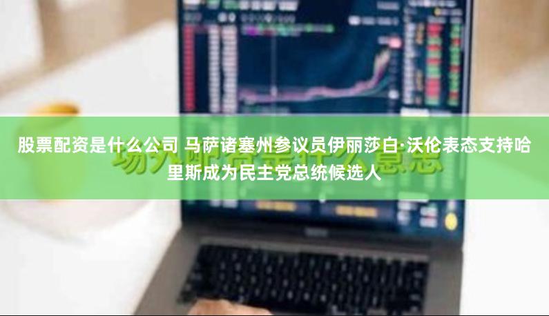 股票配资是什么公司 马萨诸塞州参议员伊丽莎白·沃伦表态支持哈里斯成为民主党总统候选人