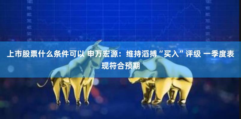 上市股票什么条件可以 申万宏源：维持滔搏“买入”评级 一季度表现符合预期