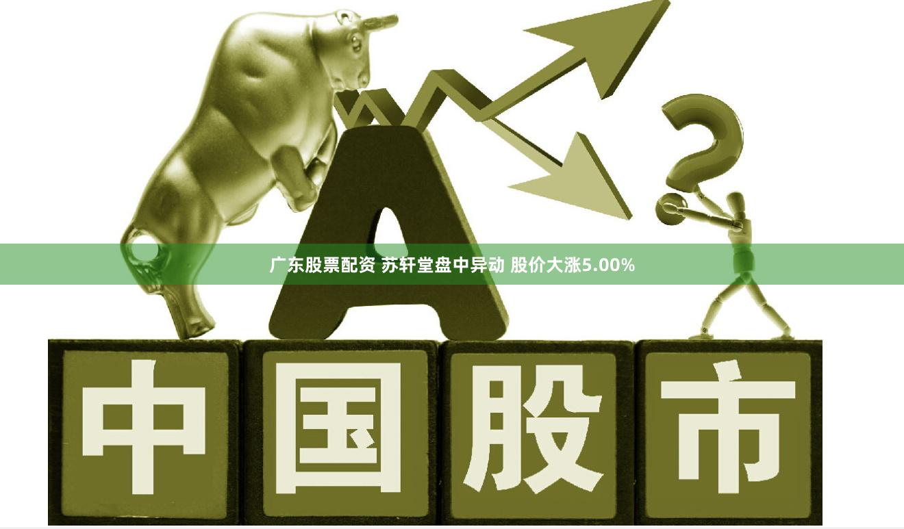 广东股票配资 苏轩堂盘中异动 股价大涨5.00%